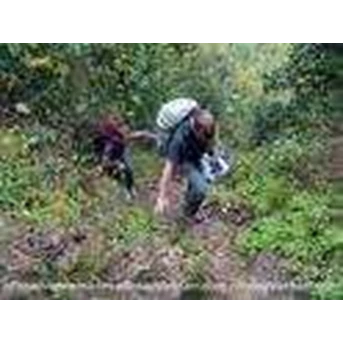 TREKKING