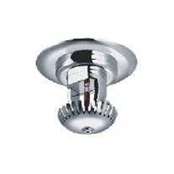 CCD Fire Sprinkle Camera