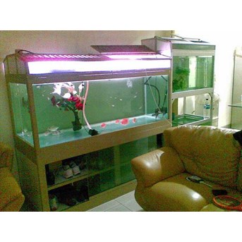 Aquarium