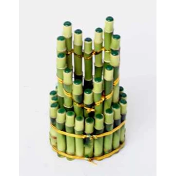 Suji/ Bambu Hoki ( Lucky Bamboo) LV 214