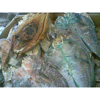 Ikan Boki Asin (kk tua) Super
