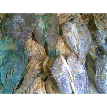 Boki (kk tua) Besar