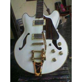 Ellectric custom Guitar Hollow model