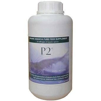 P2