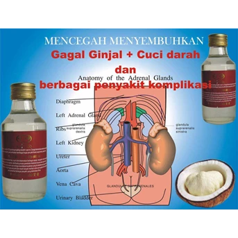 Menyembuhkan Gagal Ginjal