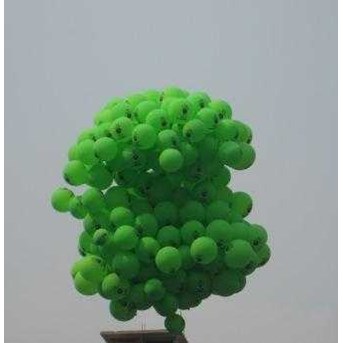 Baloon Branding