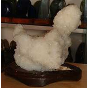 Suseiki Ayam