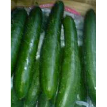 Penawaran Jual