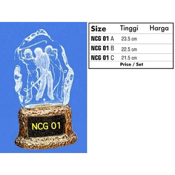 NCG 01