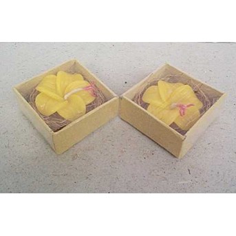 Fower candle Sc 089