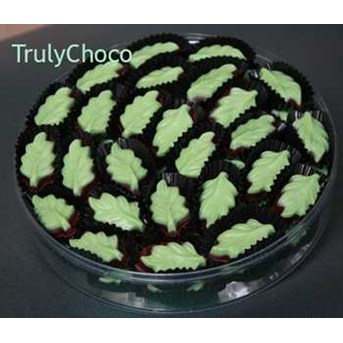 chocolate mint