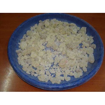 gum damar