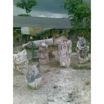 batu fosil kayu