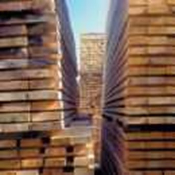 Kayu Log & Sawn Timber