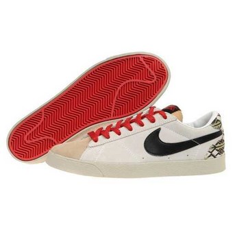 nike dunk bleazer