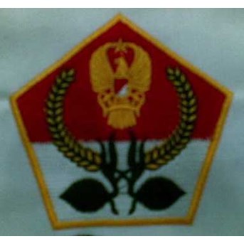 Embroidered Badges - Scouts & School