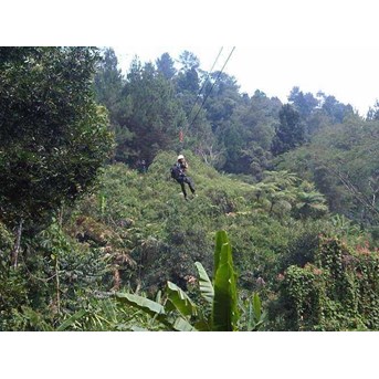 Flying Fox di puncak bogor