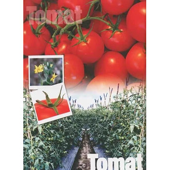 Bibit Tomat