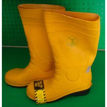 Safety Boot
