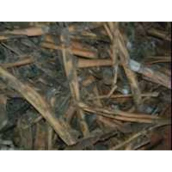 1.Cinnamon Broken KABC
