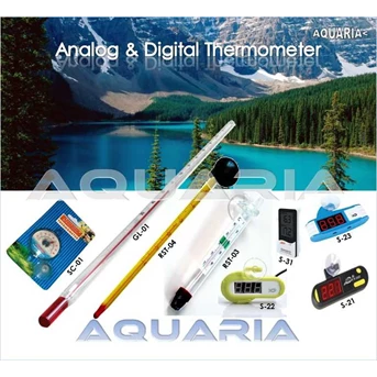 Thermometer Analog / Digital