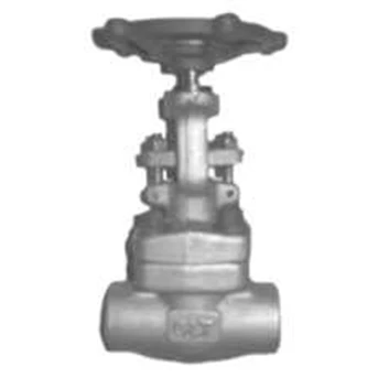 globe valve forged steel