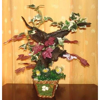 5.Pohon Cantik
