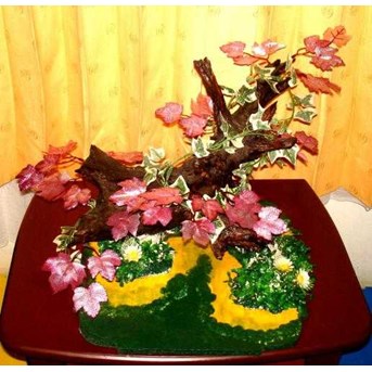 8. Pohon Cantik