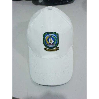 Topi