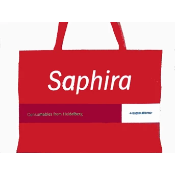 Goodie Bag, Promotion Bag, Shoping Bag