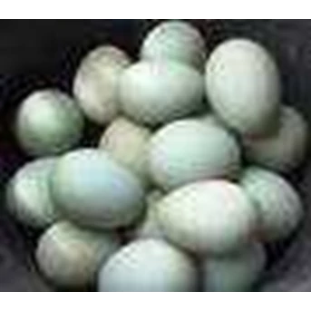 Telur Asin