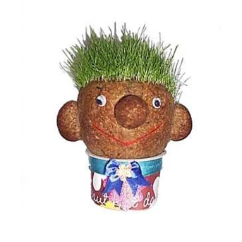 Boneka Horta - Cup / Dolls Life Grass - Cup