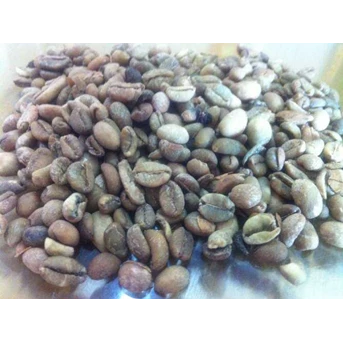 Biji Kopi/ Coffee Seeds
