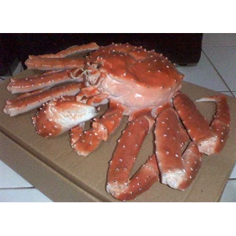 Big Crab Replica - Replika fiberglass