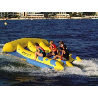 Flying Fish ZEBEC FF300