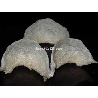 Sarang Burung Walet - Birdnest