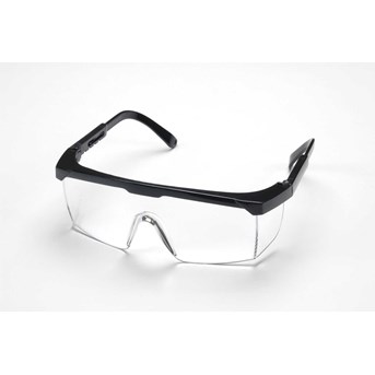 PORCH GOOGLES CLEAR
