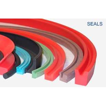 Any Seal