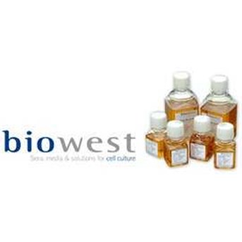 Animal Serum