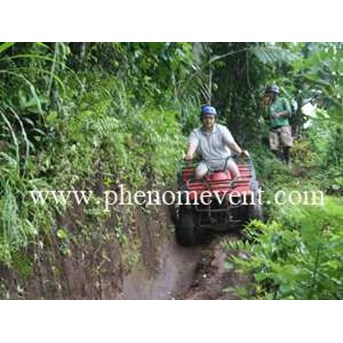 ATV ( quad bike)