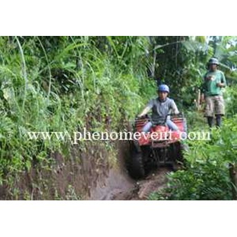 ATV ( quad bike)