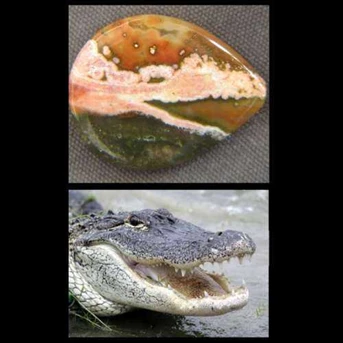Batu Mulia Permata : Batu Gambar Buaya Panca Warna / Natural Jurassic Alligator Picture on Ocean Jasper