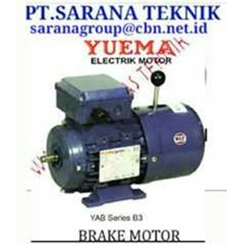 Yuema Motor, Yuema Dinamo, Yuema motor electric indonesia