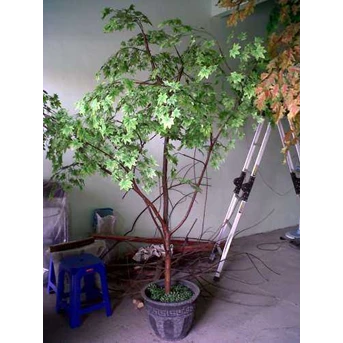 Pohon Maple hijau plastik / Maple green artificial tree 2, 3 meter