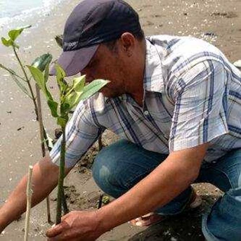 Kegiatan Penanaman Bibit Mangrove