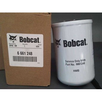 6661248---BOBCAT SPIN ON