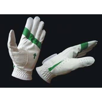 Golf Glove