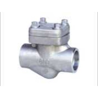 Forged Check Valve