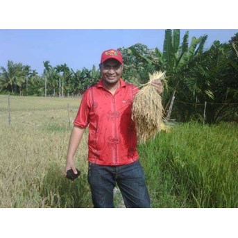 PADI BIBIT UNGGUL VARIETAS BESTARI