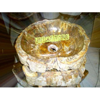 PETRIFIED SINK